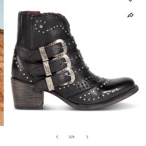 Freebird  by Steven Savanna